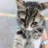 Termal otele atılmış fotoğraf