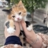 BIDIK KIZ İÇİN ACİL YUVA fotoğraf