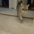 Sevecen Temas Seviyor fotoğraf