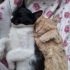 4 AYLIK BEBİŞLERİMİZE ACİL EV fotoğraf