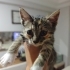 ÖMÜRLÜK YUVA ARIYORUZ fotoğraf