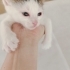 İZMİR KLİNİĞE TERKEDİLEN 1 AYLIK  3 BEBEK ARTIK KORUMA ALTINDA fotoğraf