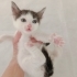 İZMİR KLİNİĞE TERKEDİLEN 1 AYLIK  3 BEBEK ARTIK KORUMA ALTINDA fotoğraf