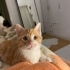 Yakışıklı Bebi için acilll YUVA fotoğraf