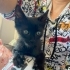 1.5 Aylık Zeytin Sıcak Yuvasını Arıyor fotoğraf