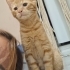 Enerji topu yuvasını arıyor fotoğraf