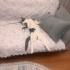 Şişko sosyal tuhaf ve şiddet geçmişi olan bir kedi fotoğraf
