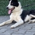 Güzel kızıma ücretsiz yuva fotoğraf