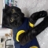 Çok sevecen ve tatlı bir kedi fotoğraf