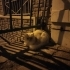 Sokağı terk edilmiş fotoğraf