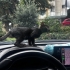 SICAK MUTLU YUVASINI ARIYORUZ fotoğraf