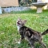 YUVAM OLUR MUSUN fotoğraf