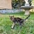 YUVAM OLUR MUSUN fotoğraf