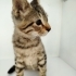 2 aylık prense yuva fotoğraf