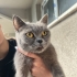 SOKAKTA BULUNAN KIZIMIZ ÖMÜRLÜK YUVASINI ARIYOR fotoğraf