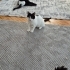 Birader akşamdan kalma fotoğraf