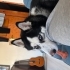 Safkan husky sahiplendirme(ücretisiz) fotoğraf