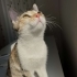 Kızım balıma yuva arıyorum fotoğraf