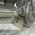 Buluta yuva aranıyor fotoğraf