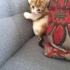 Sevimli sarışın bebiş fotoğraf