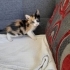 Rengarenk minik bebiş fotoğraf