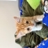 Kucak Delisi Minik Oğlan fotoğraf