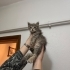 MİNİK KIZA ÖMÜRLÜK BİR YUVA ARIYORUZ fotoğraf
