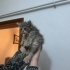 MİNİK KIZA ÖMÜRLÜK BİR YUVA ARIYORUZ fotoğraf