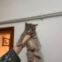 MİNİK KIZA ÖMÜRLÜK BİR YUVA ARIYORUZ fotoğraf