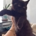 4 AYLIK KIZIMIZ ZEYTİN fotoğraf