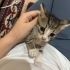 Yeni Yuvasına Hazır, Çok Sevimli fotoğraf