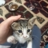 Yeni Yuvasına Hazır, Çok Sevimli fotoğraf