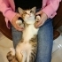 Kucak Bebişi Lisa🌸🧡 Klinikten Yuvalandırılacak fotoğraf