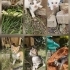 Sevimli bebeğimize ömürlük yuva fotoğraf