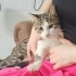 3,5 Aylık Lisa💕 Klinikten Yuvalandırılacaktır fotoğraf