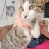 3,5 Aylık Lisa💕 Klinikten Yuvalandırılacaktır fotoğraf