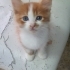 TABLO DEGIL GERÇEK DİŞİ VE ERKEK BEBİŞLER fotoğraf