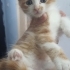 TABLO DEGIL GERÇEK DİŞİ VE ERKEK BEBİŞLER fotoğraf