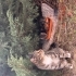 Dünyanın en sevecen, en ilgili, sevgi dolu nazlı annesi fotoğraf