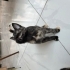zeynep’e kalıcı yuva fotoğraf