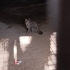 Çok tatlı çok sevecen fotoğraf