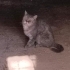 Çok tatlı çok sevecen fotoğraf
