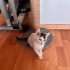 Mıncıra yuva arıyoruz fotoğraf