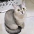 MİA ÖMÜRLÜK AİLESİNİ ARIYOR fotoğraf