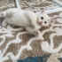 GÜZEL KIZIMA YUVA APT TEK KALIYOR fotoğraf