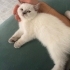 Oyun oynamayı sever fotoğraf