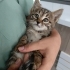 SEVİMLİ 3 AYLIK ERKEK BEBEK İÇİN YUVA ARIYORUZ fotoğraf