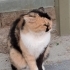 Üç renkli kırma fotoğraf