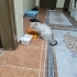 Kırşehire sahiplendirilecektir British cins kedi fotoğraf