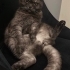 Oğluma ömürlük yuva arıyorum 🖤 fotoğraf